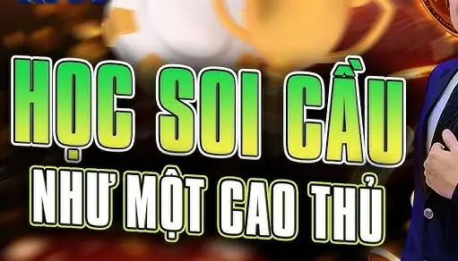 Soi Cầu Xóc Đĩa ZomClub - Bí Quyết Chiến Thắng Từ Chuyên Gia