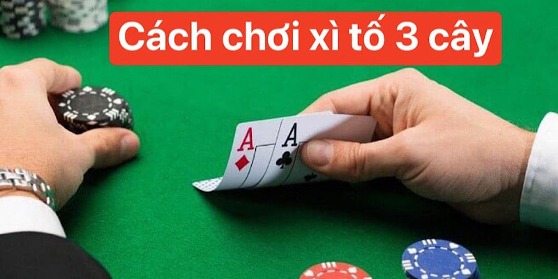 Xì tố 3 cây Bí quyết chinh phục nhà cái và trở thành cao thủ