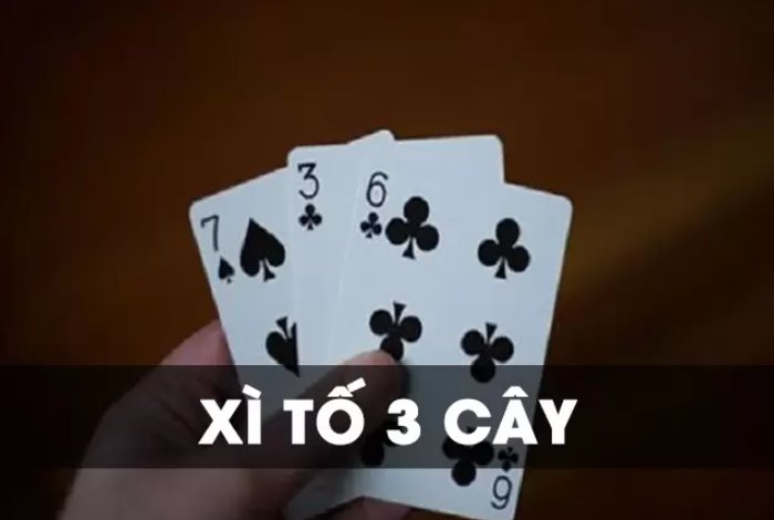 Xì tố 3 cây Bí quyết chinh phục nhà cái và trở thành cao thủ