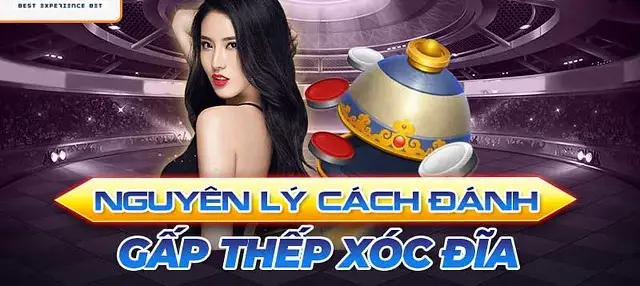 Xóc Đĩa Gấp Thếp - Bí Quyết Chiến Thắng Từ Cao Thủ